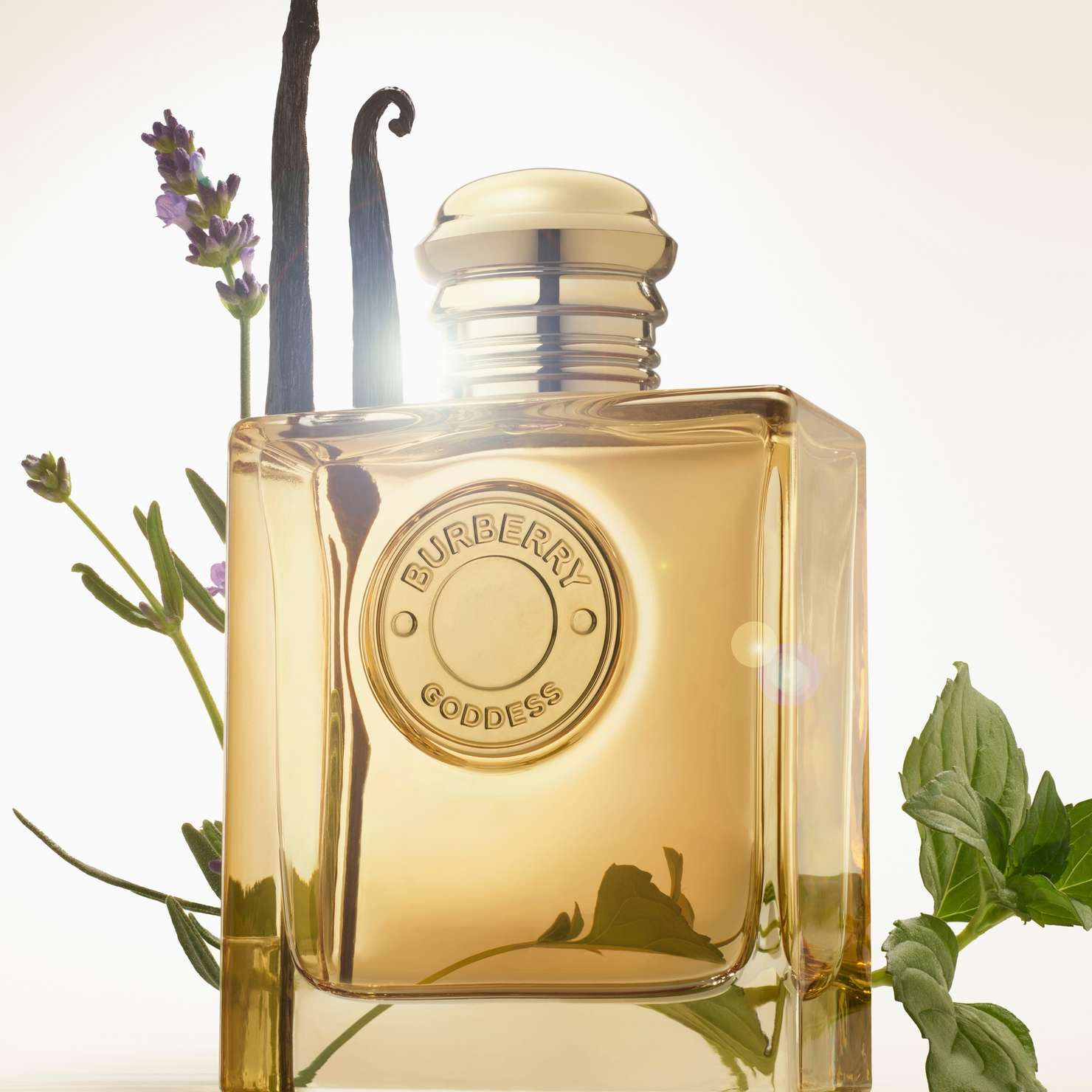 Burberry Goddess Intense Edp 50ml - Elegant duft | Vita.no