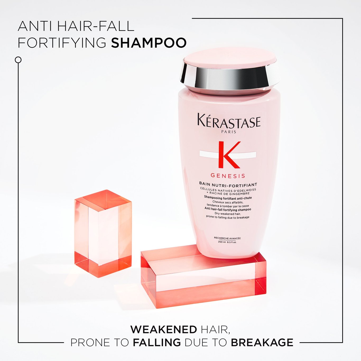 Anti hair-fall fortifying shampoo