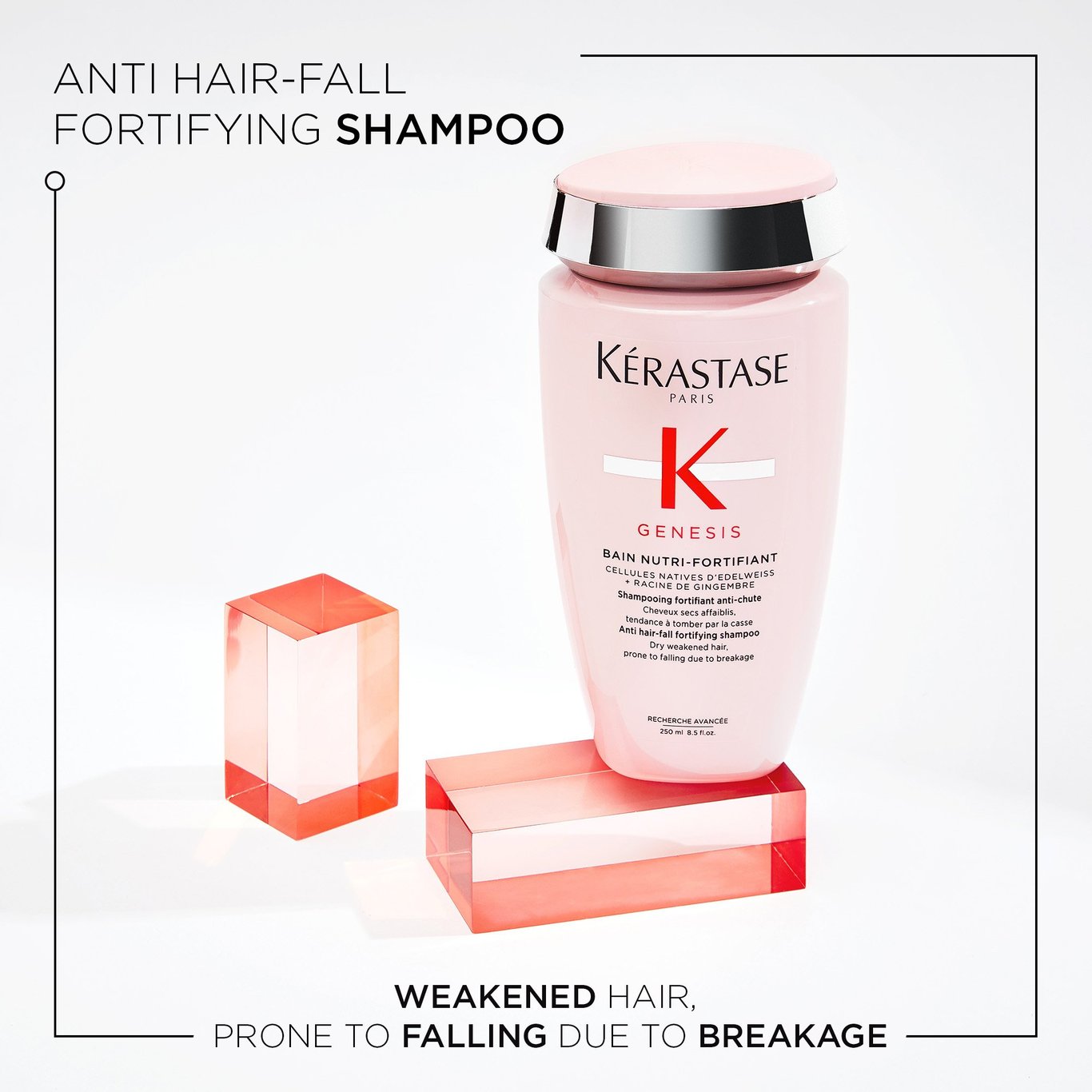 Anti hair-fall fortifying shampoo