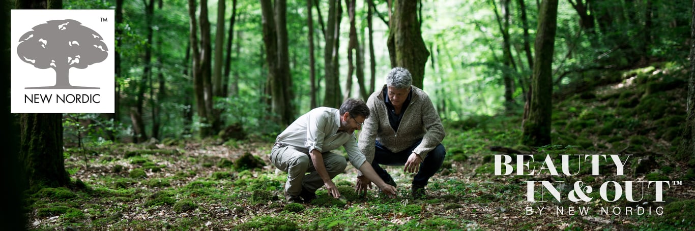 Far og sønn plukker bær i nordisk skog
