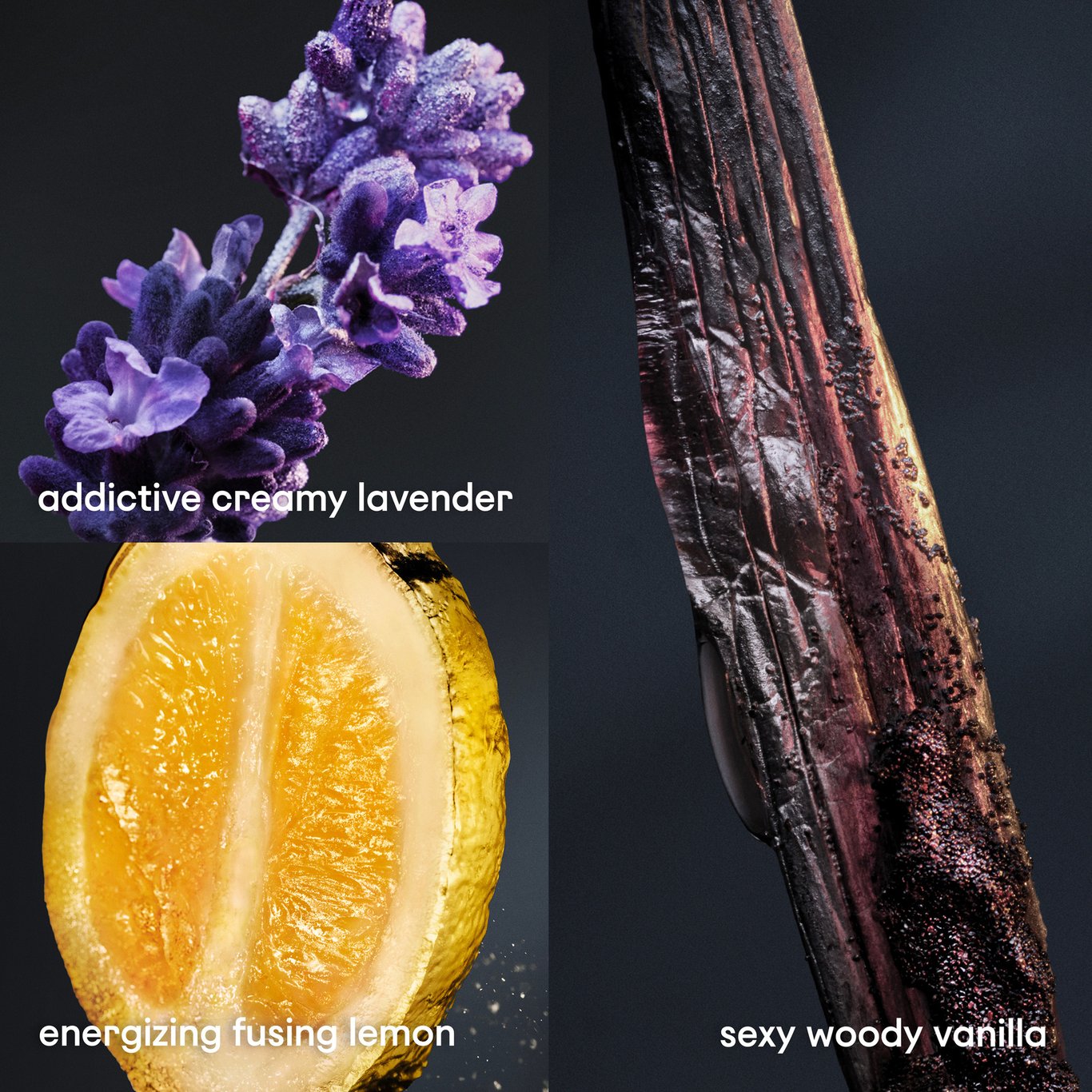 Miniatyrbilde