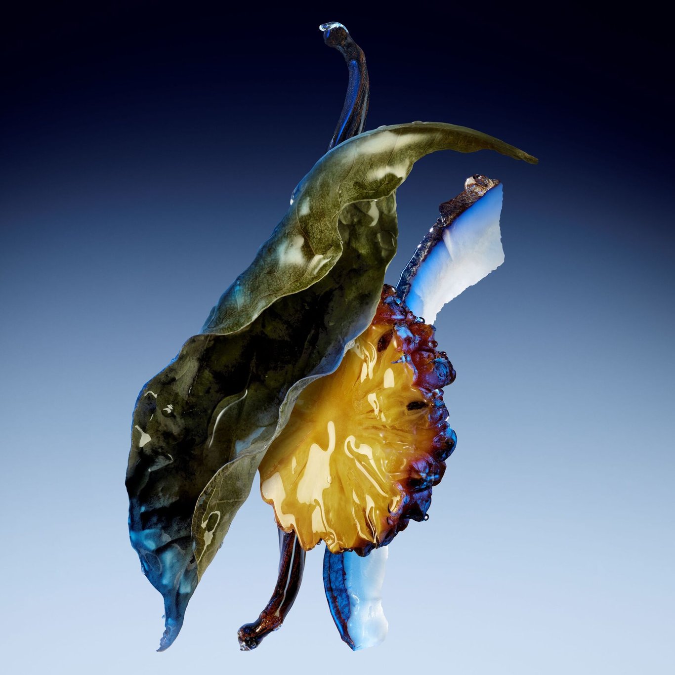 Miniatyrbilde