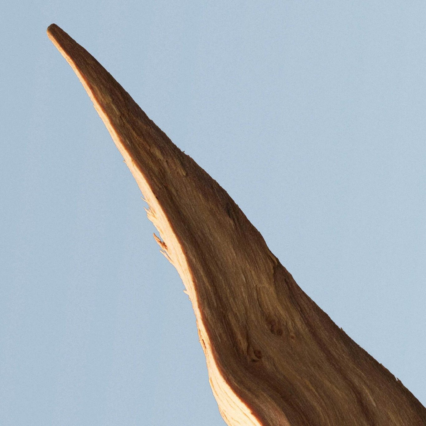 Miniatyrbilde