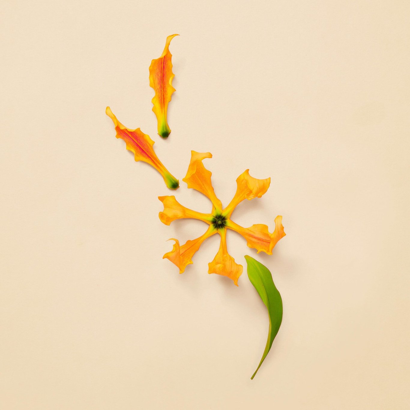 Miniatyrbilde