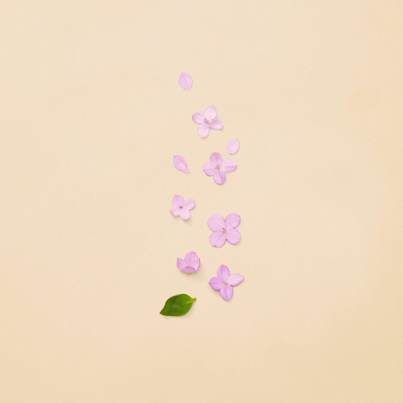 Miniatyrbilde