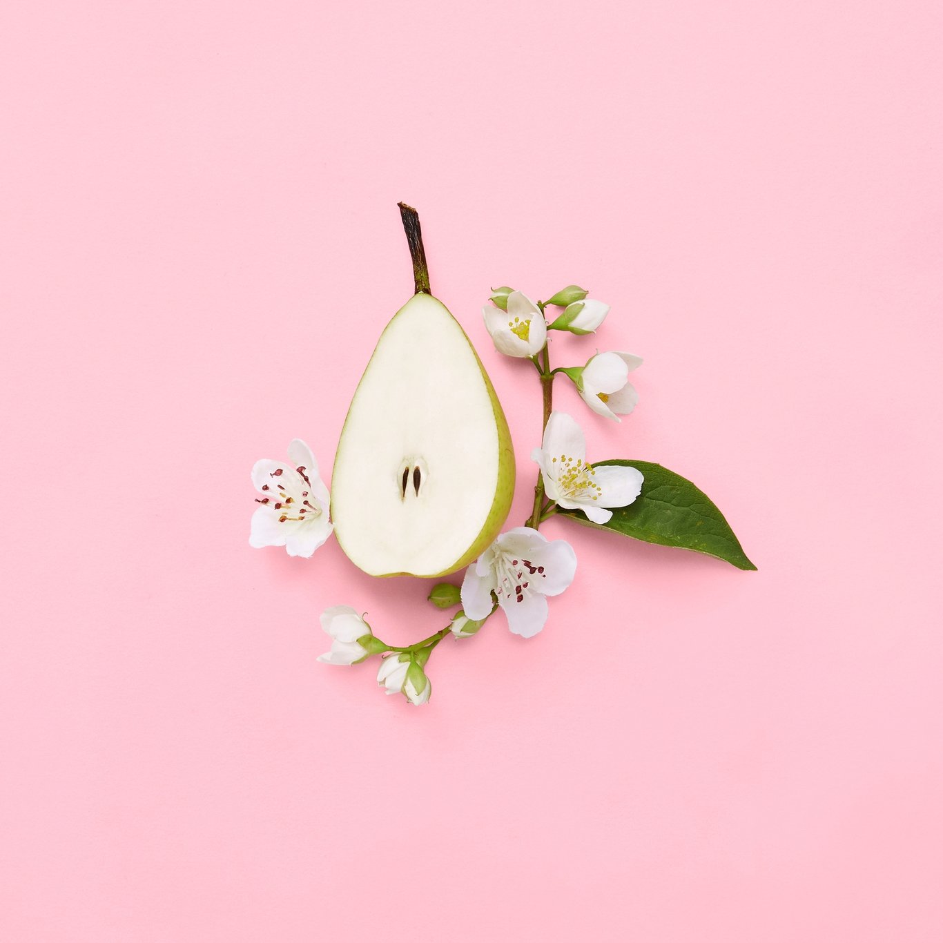Miniatyrbilde