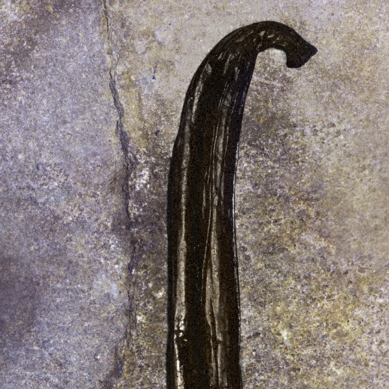 Miniatyrbilde