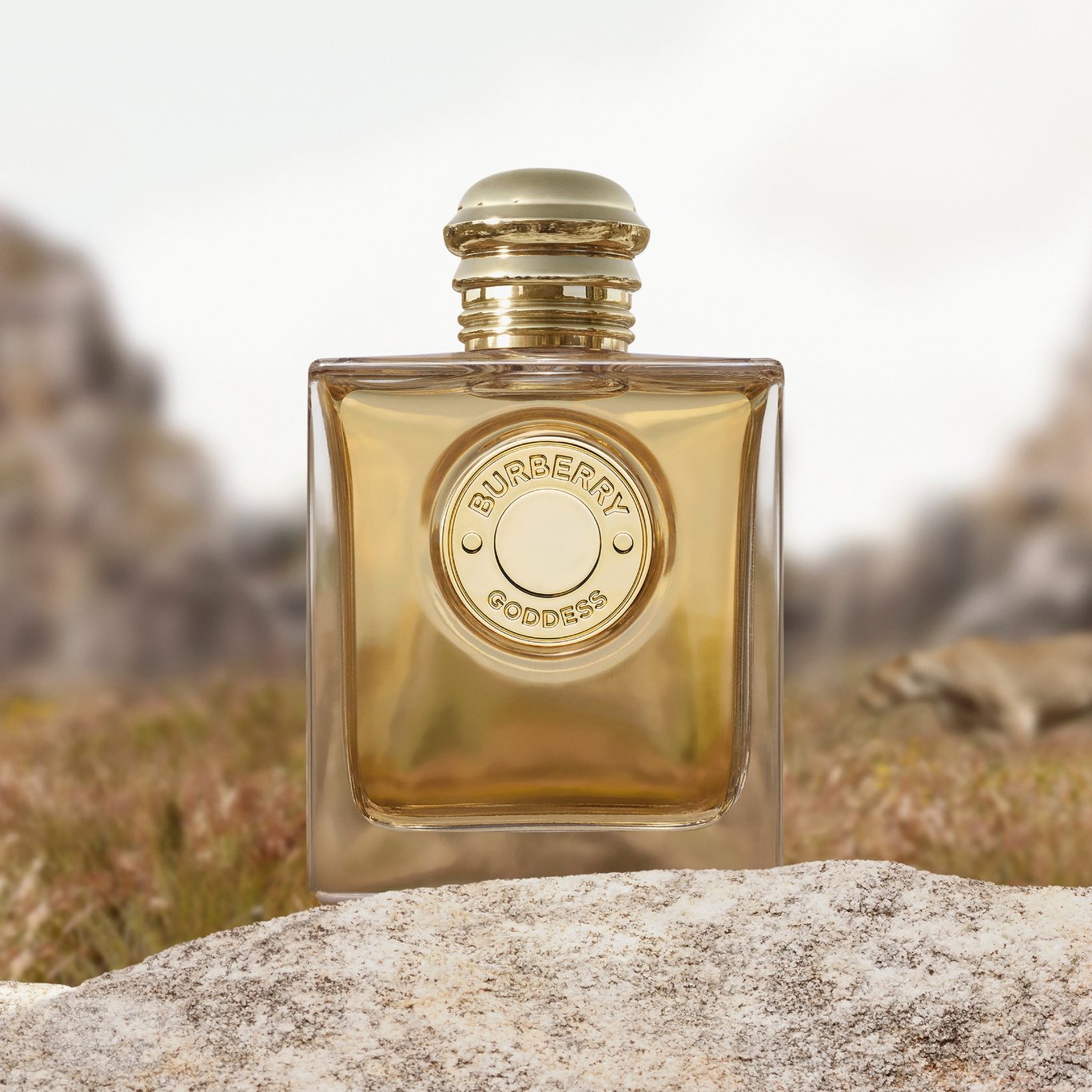 Miniatyrbilde