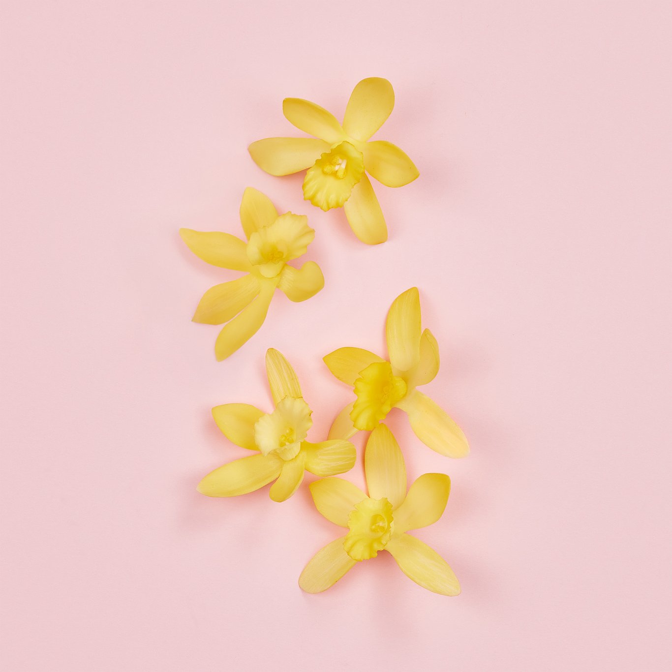 Miniatyrbilde