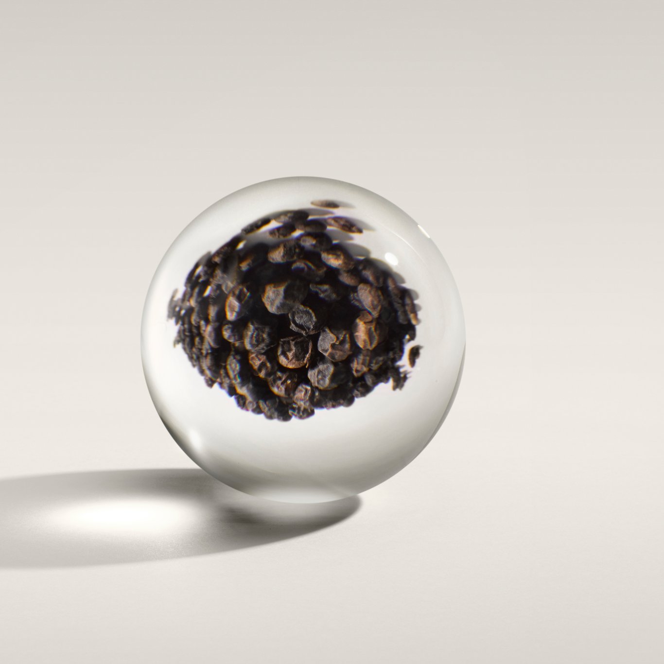 Miniatyrbilde
