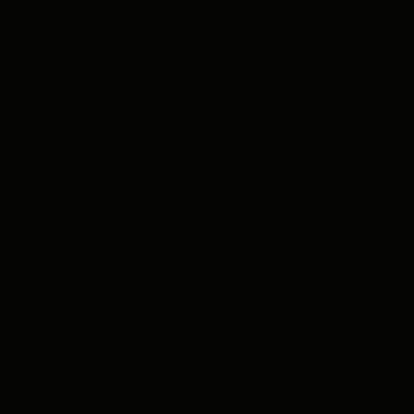 250306074