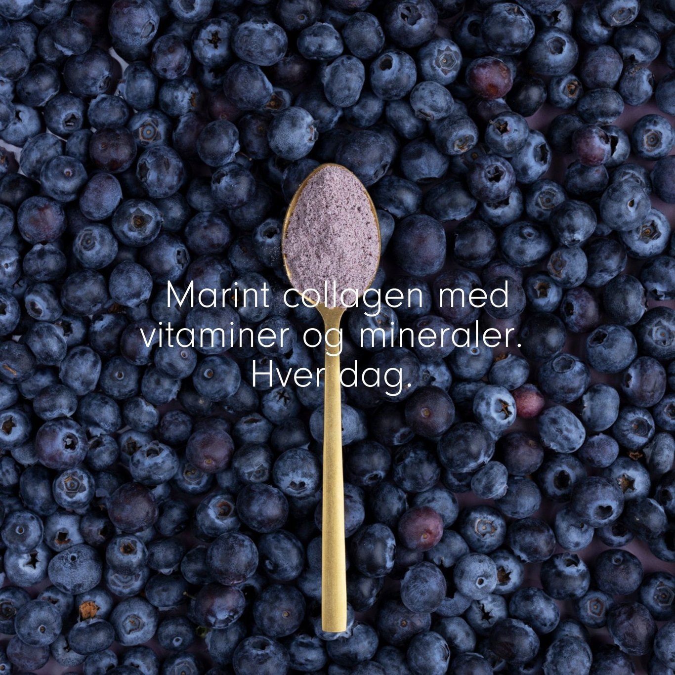 Miniatyrbilde