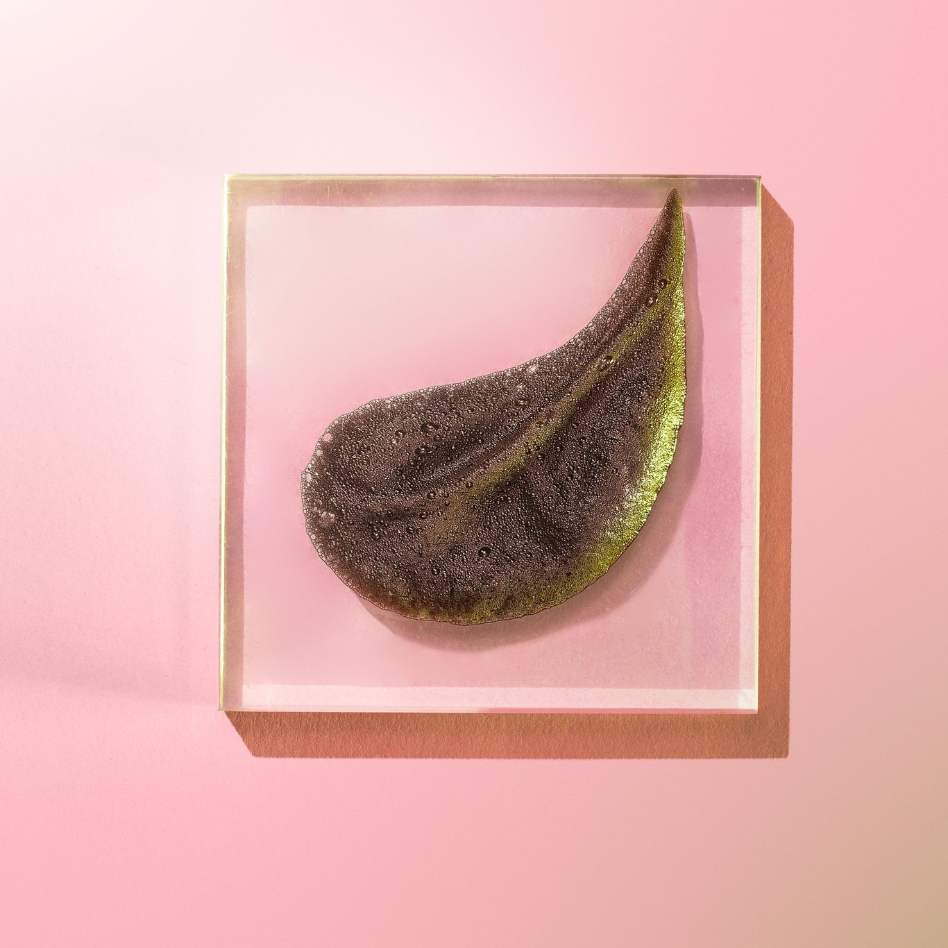 Miniatyrbilde