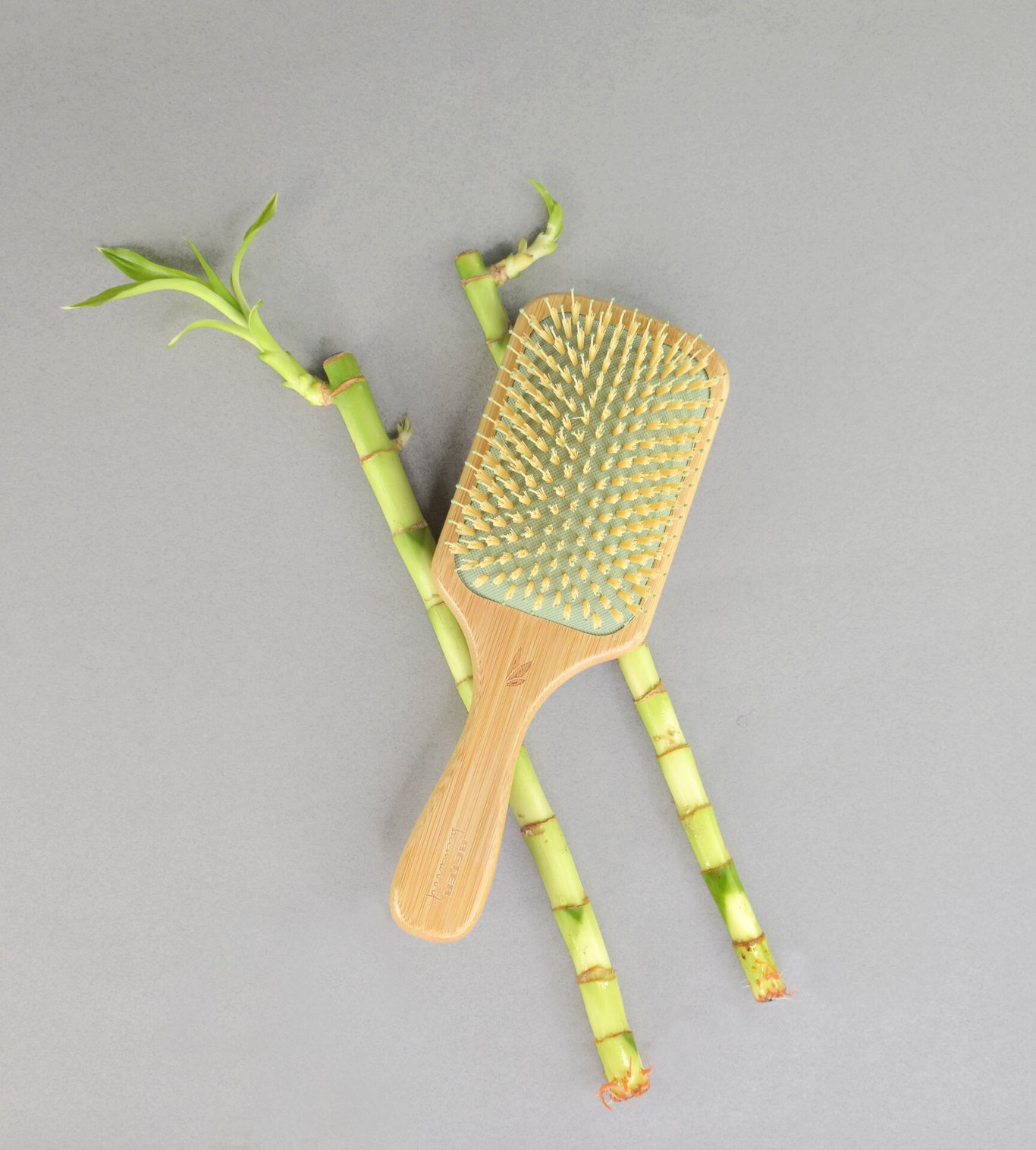 Miniatyrbilde
