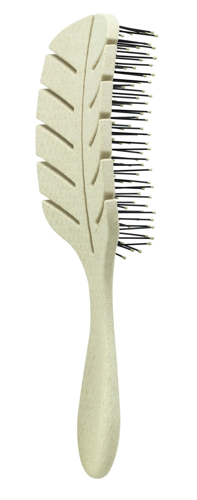 Miniatyrbilde