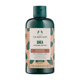 THE BODY SHOP Shea Shampoo 250ml